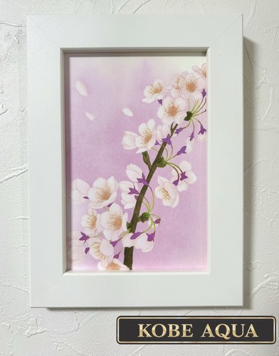 Japanese sakura watercolor art - sakura,