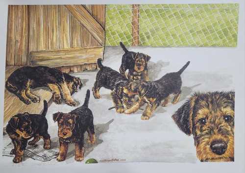 Airedale terrier puppy print - airedale,