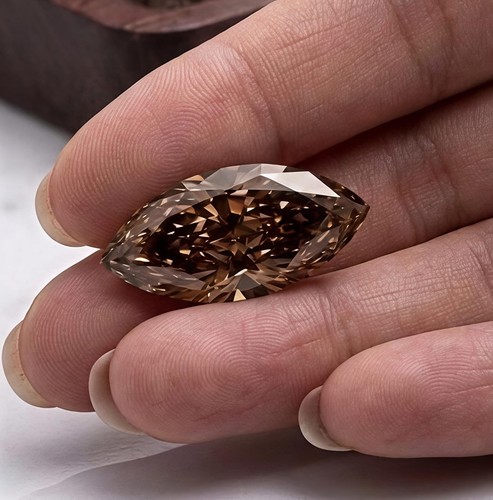 Huge fancy brown color - huge, 7