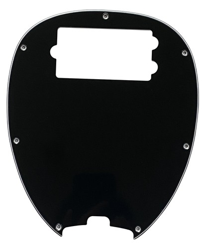 Custom for ernie ball - for,