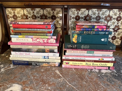 Rose gardening large book - large,