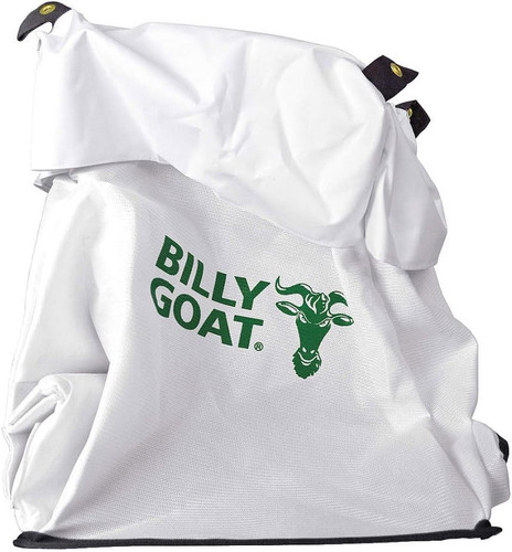 Billy goat gal - 40,