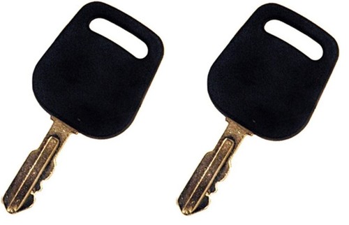 Ignition switch key cub - 2,