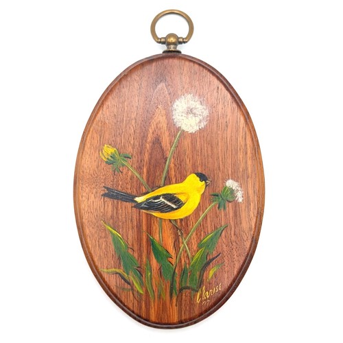 American goldfinch clarise - goldfinch, by