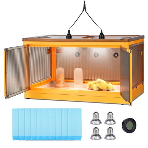 Chicken brooder box for - box, chicks