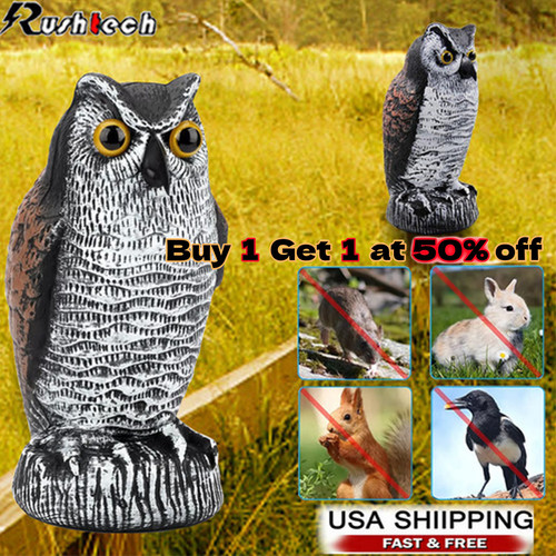 Owl decoy statue protect - decoy,