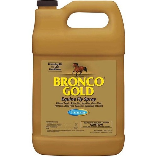 Bronco gold equine - bronco,