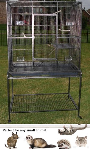 Large levels ferret - 54",