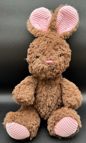 Walgreens plush brown bunny - plush,