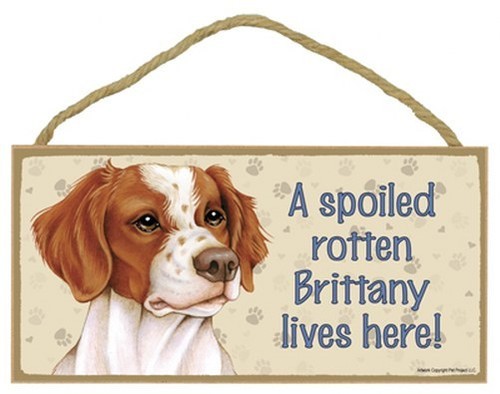 Spoiled rotten brittany - a,