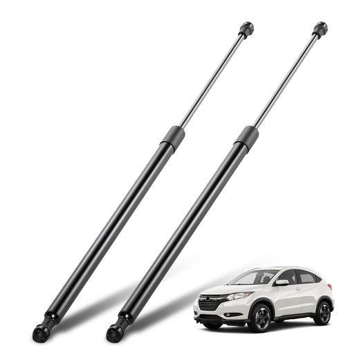 Twin rear tailgate lift - twin,