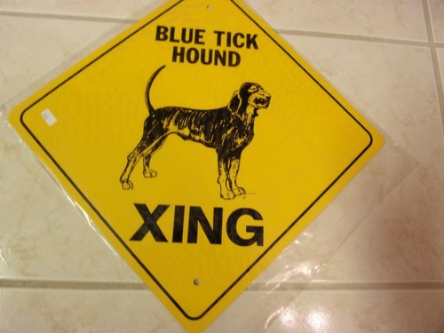 Blue tick hound xing - blue,