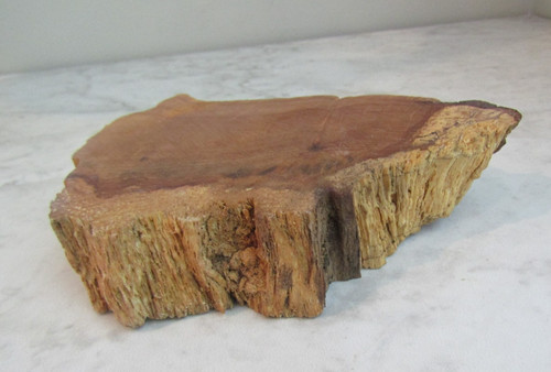 Redwood burl wood - wood, small