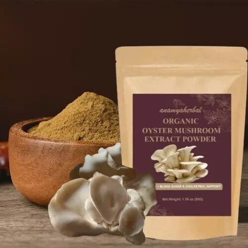 Oyster mushroom extract powder - mushroom,