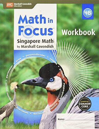 Math focus singapore - math, focus: