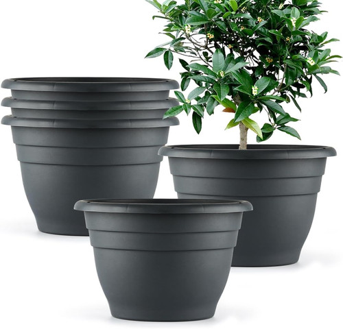 Plant pots set 10 - plant, of
