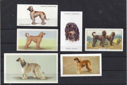 Rare 1931 1979 dog art - -,