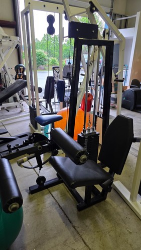 Musclemaxx seated leg - seated, curl