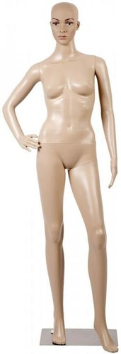 Female mannequin manikin - manikin, dress