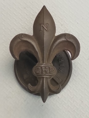 Zhp polska polish scout badge - zhp,