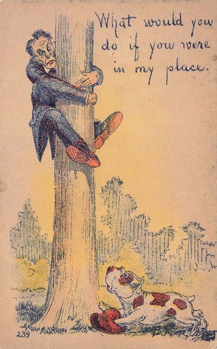 Postcard dog unusual old comic - unusual,