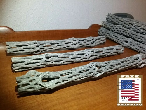 Pieces inch cholla - of, 10"