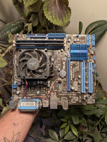 Asus m4n68t am3 athlon - asus, v2