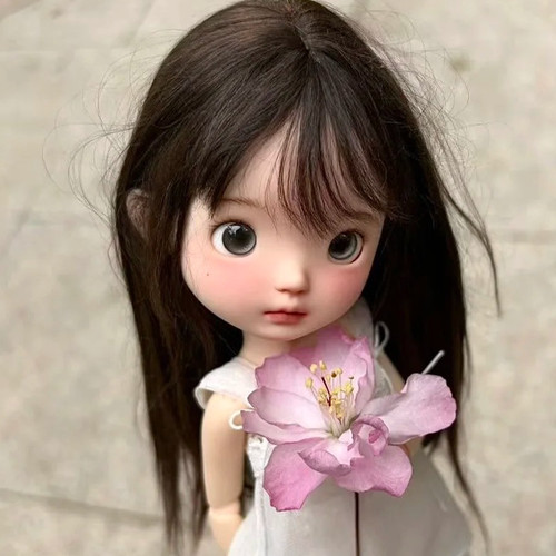 Handmade bjd doll resin - 1/6,