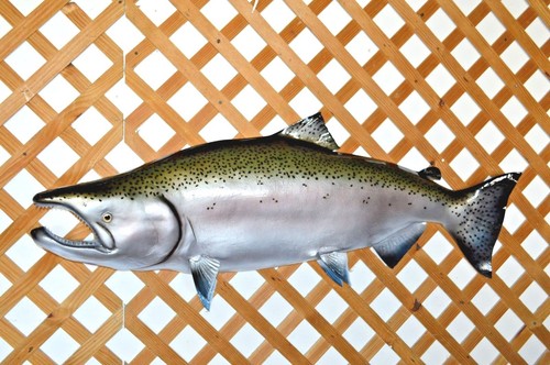 King salmon half mount - 48",