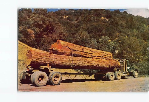 Truck with giant logs - truck,