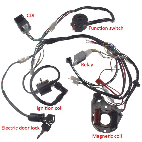 Wire harness assembly - harness, wiring