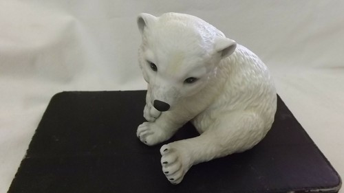 Abercrombie polar bear - abercrombie, bear"