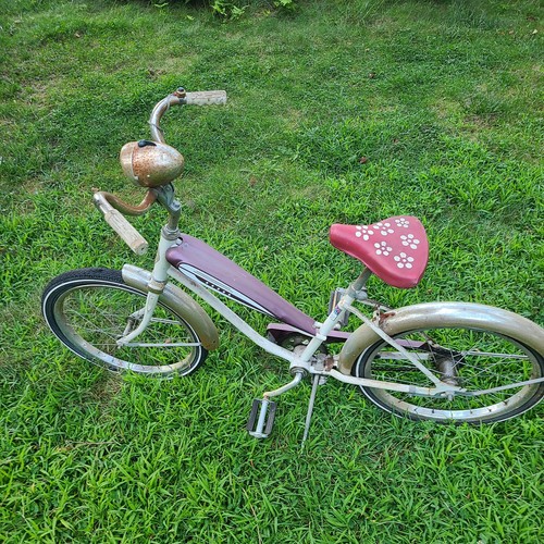Vintage ross muscle bike - muscle,