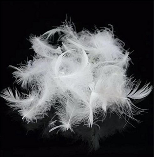 Goose feather filling 450g - feather,