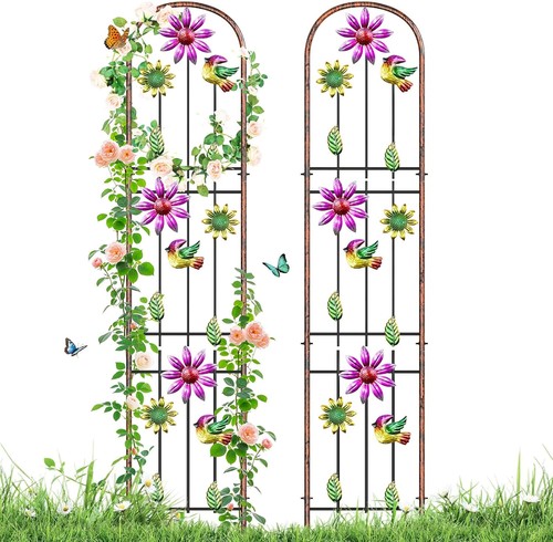Metal gardentrellis arched - metal,