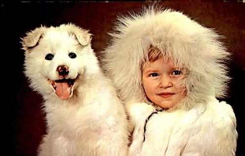 Alaskan native darling - alaskan,