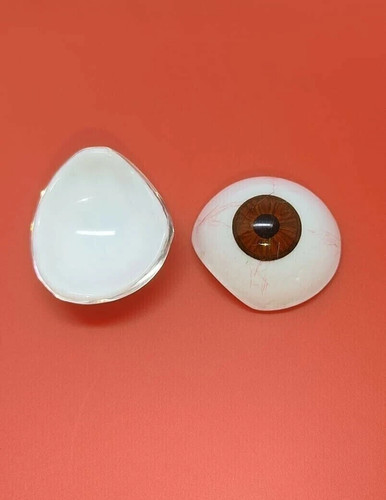 Prosthetic eye 2pc - prosthetic, antique