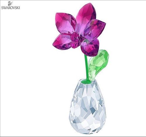 Swarovski flower dreams orchid - swarovski,