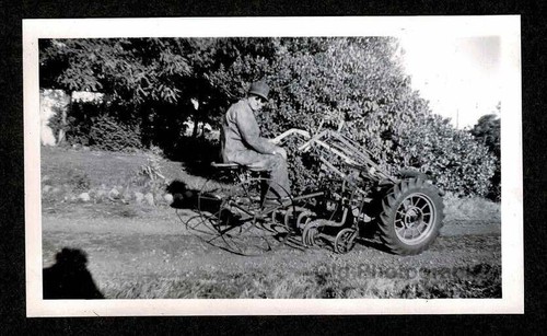 Old school garden farm - old, garden/farm