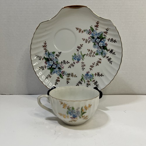 Yamaka china scalloped shell - scalloped,