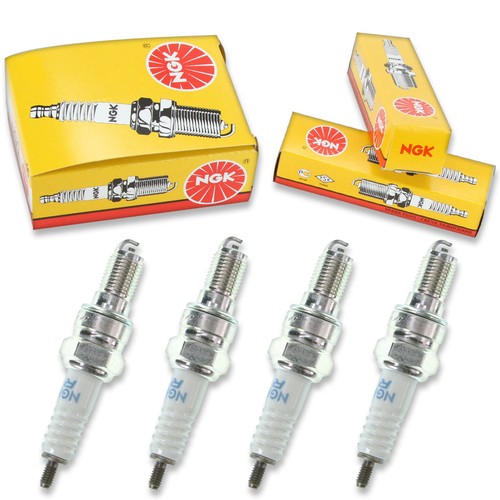 4pcs honda bf20d ngk - honda, standard
