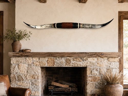 Mounted steer horns - steer, 64