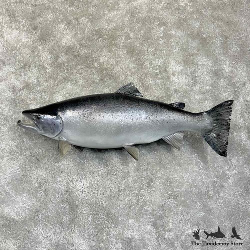 30766 30 chinook king - #30766, e