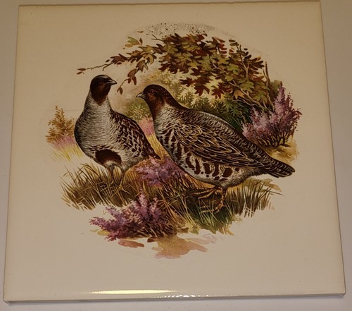 Hyalyn 505 square quail - 6",