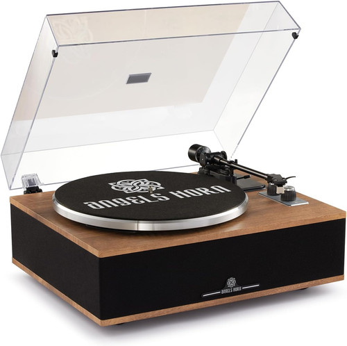 Angels horn vinyl - angels,