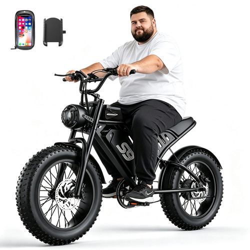 2500w electric bike for - 2500w,