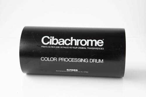Ilford cibachrome 8x10 color - 8x10,