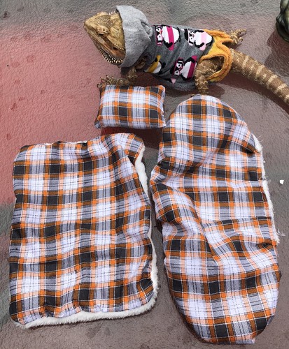 Plaided prints lrg resting - plaided,