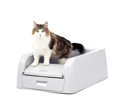 Petsafe scoopfree clay - petsafe,