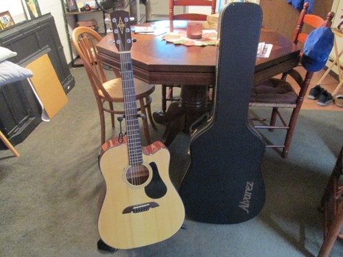 Acoustic electric guitar - acoustic/electric,